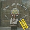 Town Of Fergus