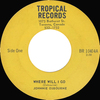 Where Will I Go b/w African Wake