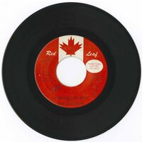 Remember The Face b/w In My Diary