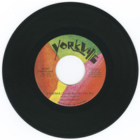 Virginia (Touch Me Like You Do) b/w That Close to Me Again