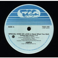 Special Kind of Love (I Need What You Got)