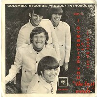 I Symbolize You b/w It Made Me Cry (picture sleeve)