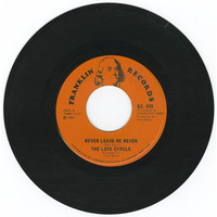 Never Leave Me Never b/w Wind, Rain And the Seashore