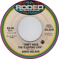 Don't Wake the Sleeping Lion b/w Parliament Hill