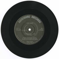 Flower Boy b/w Flower Boy DVB