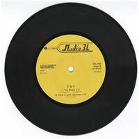 The Brisk/ Flirtin' With Disaster b/w Don't Break My Heart