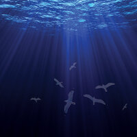 The Drop and the Sea