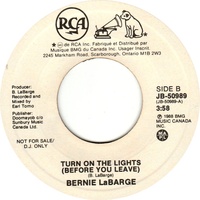 Turn On the Lights (Before You Leave) b/w Turn On the Lights (Before You Leave) (promo)