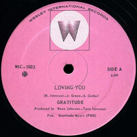 Loving You b/w We Are Here to Party