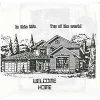 In This Life b/w Top of the World (picture sleeve)