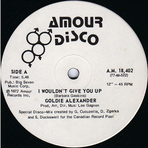 I Wouldn't Give You Up