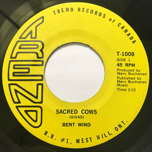 Sacred Cows b/w Castles Made of Man