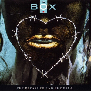 The Pleasure And The Pain