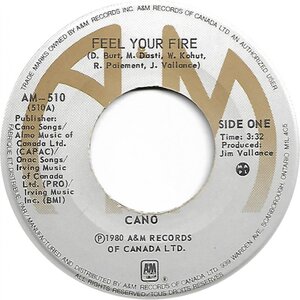 Feel Your Fire b/w Sometimes the Blues