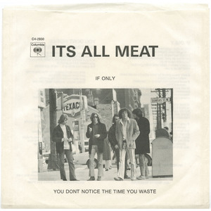 You Don't Notice the Time You Waste b/w If Only (picture sleeve)