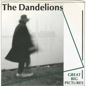 Great Big Pictures b/w Funky Monday (picture sleeve)
