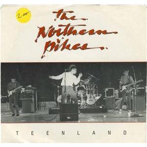 Teenland b/w Heartaches Heartbreaks (Open Up) (picture sleeve)