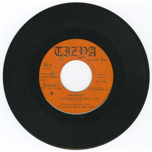 Ringing in My Ear b/w All My Teachers