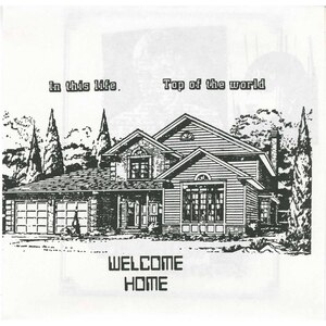In This Life b/w Top of the World (picture sleeve)