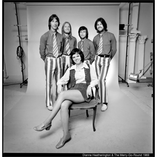 Dianne Heatherington