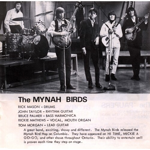 Mynah Birds