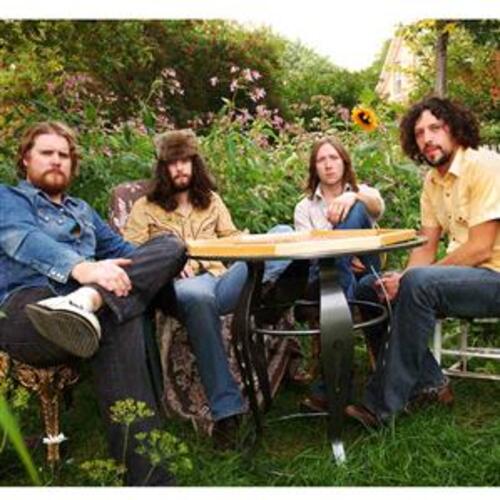Sheepdogs