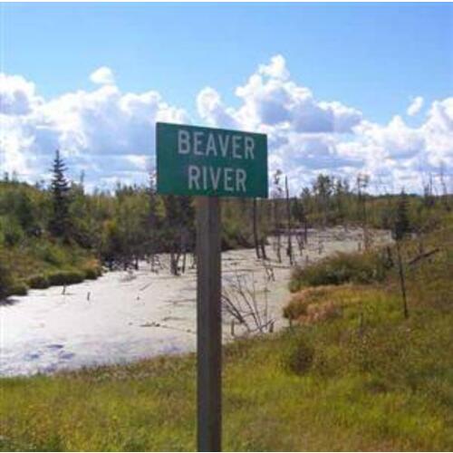 Bill Bissett & Pete Dako