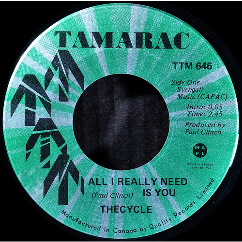 All I Really Need is You b/w Looking at Each Other