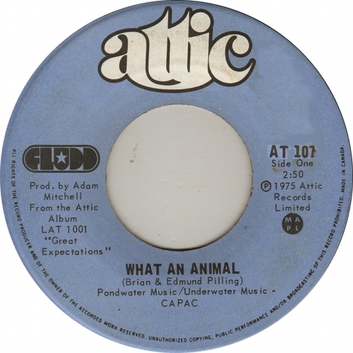 What An Animal b/w Boarding School