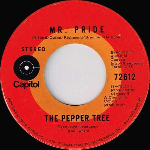 Mr. Pride b/w Everywhere