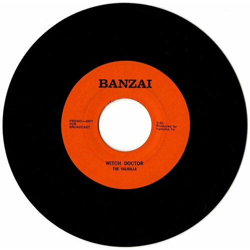 Witch Doctor b/w Mister Fantasy