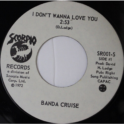 I Don't Wanna Love You b/w track 2