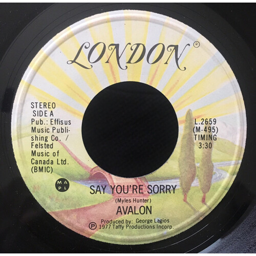 Say You're Sorry b/w Celebration Day