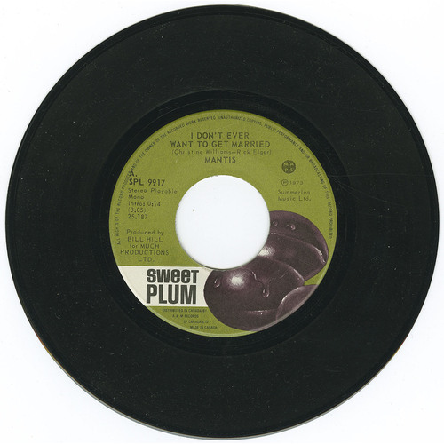 I Don't Ever Want to Get Married b/w What Does it Take