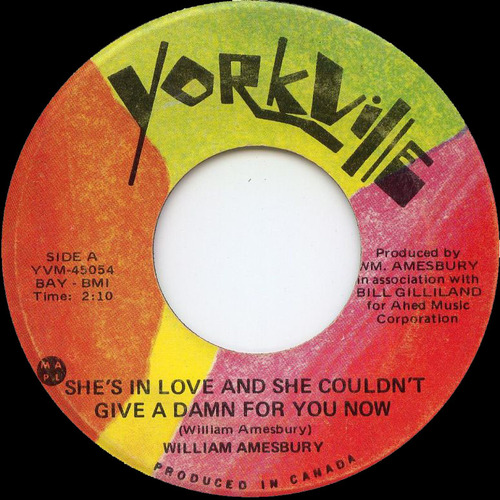 She's in Love and She Couldn't Give a Damn for You Now b/w Here I Go Again