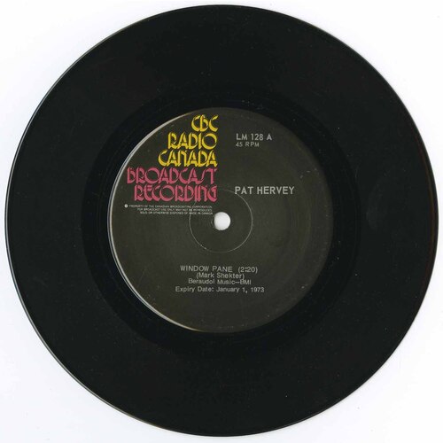 Window Pane b/w You've Got a Friend