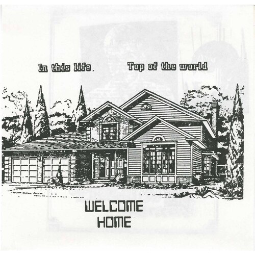 In This Life b/w Top of the World (picture sleeve)