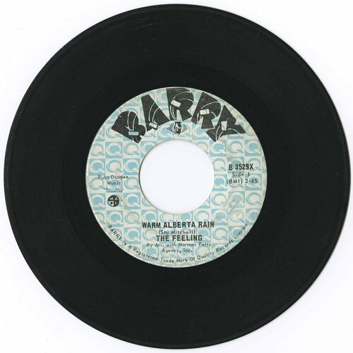 Warm Alberta Rain b/w I Will Follow